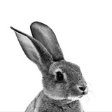 Telegram profile photo for ЭТИЧНАЯ КОСМЕТИКА