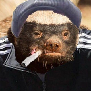 Telegram profile photo for Sehnsucht
