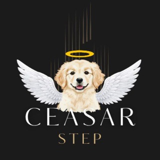 Telegram group profile photo for CEASAR STOKSUZ AYAKKABI