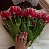 Telegram profile photo for Маникюр | Ногти | Дизайн