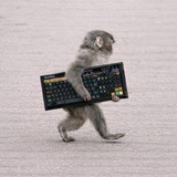 Telegram profile photo for ApeWire