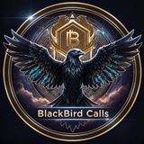 Telegram profile photo for BlackBird Calls