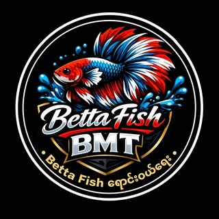 Telegram profile photo for Betta Fish BMT