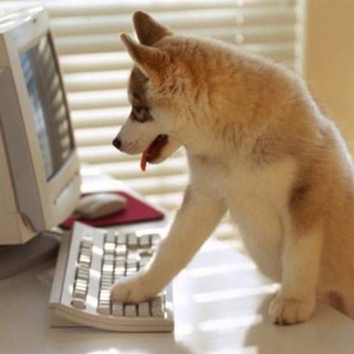 Telegram profile photo for Добрые мемы : )
