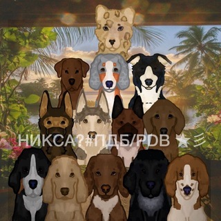 Telegram profile photo for НИКСА?#ПДБ/PDB 彡