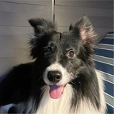 Telegram profile photo for Second.