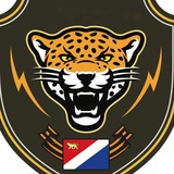 Telegram profile photo for Дальневосточный леопард 25/75