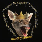 Telegram profile photo for Метро шоп шакал