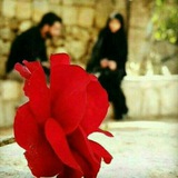 Telegram profile photo for 🖋دل❤نوشته ها