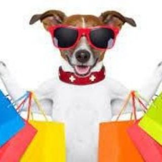 Telegram profile photo for 宠物店🍀宠物用品