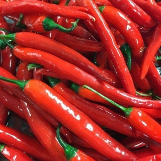 Telegram profile photo for للمشطشطين فقط☝🏻🌶