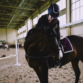 Telegram profile photo for Equestrian_sport