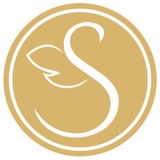 Telegram profile photo for Serafima Dress