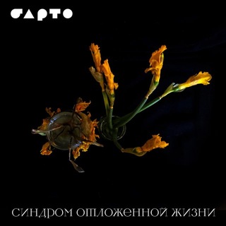 Telegram profile photo for БАРТО/BRT