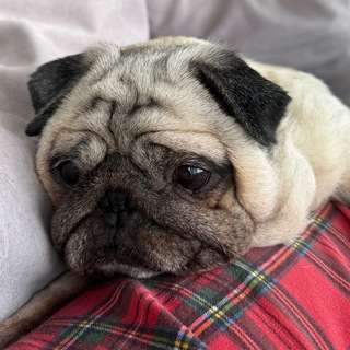 Telegram profile photo for Канал без названия 🤓