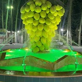 Telegram profile photo for خبر اصیل(اخبار روستای اصیل آباد )