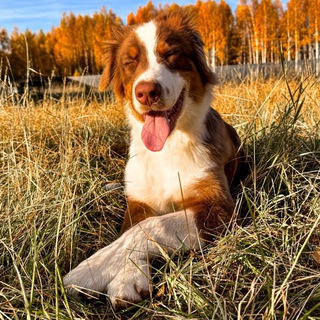 Telegram profile photo for Photodwizh с Машей | Фото и жизнь