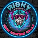 Telegram profile photo for ⚔️ Risky Gems Hunters ⚔️ Calls Channel