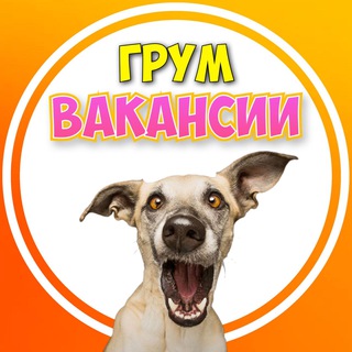 Telegram profile photo for Грум ВАКАНСИИ 🦄