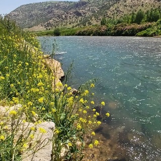 Telegram profile photo for طبیعت سَروچَمان غرب🌳