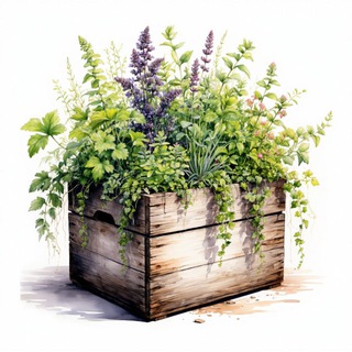Telegram profile photo for Джунгли в коробке | JungleBox