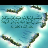 Telegram profile photo for قناة عثمان خميس