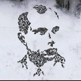Telegram group profile photo for АКТУАЛЬНЫЕ ВЕРИФИКАЦИИ