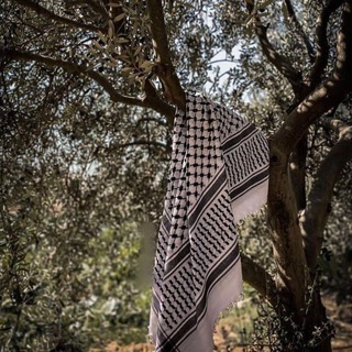 Telegram profile photo for موٌطِنِيِّ|| ,𓂆🇵🇸