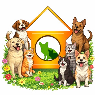 Telegram group profile photo for В Будке - Животные 🐕 Мариуполь 🐈