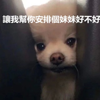 Telegram profile photo for 尻尻專區