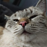 Telegram profile photo for умеет думать