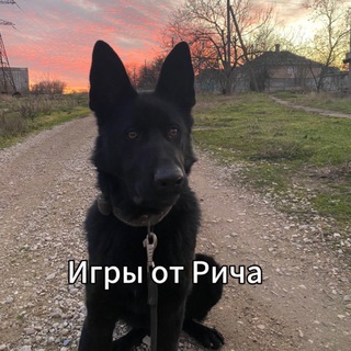 Telegram profile photo for Игры от Рича