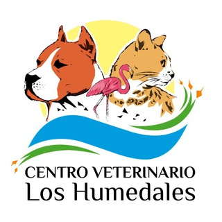 Telegram profile photo for Centro veterinario Los Humedales