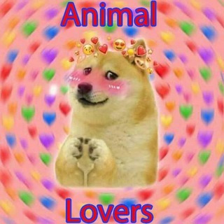 Telegram profile photo for Animals Lovers 💝