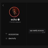 Telegram profile photo for echo scam