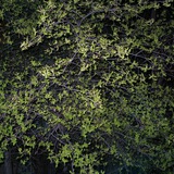 Telegram profile photo for Родина электричества