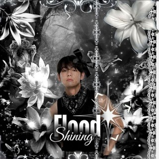 Telegram profile photo for INFO | Shining flood