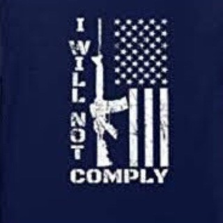 Telegram profile photo for 🇺🇸 Purveyor of Truth 🇺🇸