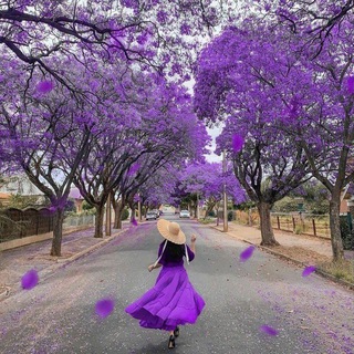 Telegram profile photo for تائهه💜💫