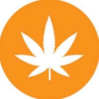 Telegram profile photo for Weedcoin CTO (Entry Portal)