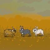 Telegram profile photo for Ватка на подкладке