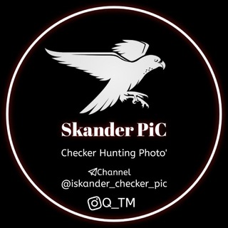 Telegram profile photo for Skander Pic Checker