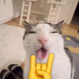 Telegram profile photo for БОЖЕ, ЧЕЕЕЕЕЕЕЛ🙄 маник лох.