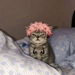 Telegram profile photo for ๐๐๐๐๐๐ ะพะฑััะฝัะน ัะฐะฑะพััะณะฐ