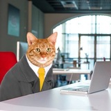 Telegram profile photo for сырный сырок