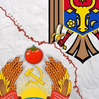 Telegram profile photo for Банановый помидор. Молдова Приднестровье Гагаузия 🍅🍌