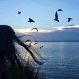 Telegram profile photo for sd