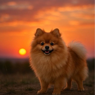 Telegram profile photo for СержуликРыжулик