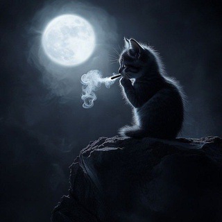 Telegram profile photo for ### ### ###
