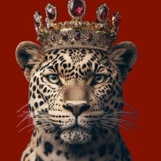 Telegram profile photo for 𝗫𝗼 ²⁰ 🐆